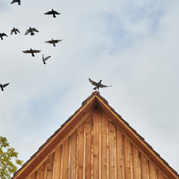 Ein Schwarm von Vögeln fliegt über dem Dach des Theurerhofs.