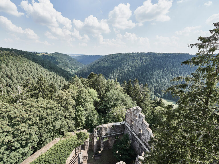 Die Zavelsteiner Burgruine zeigt sich inmitten des grünenden Schwarzwalds.
