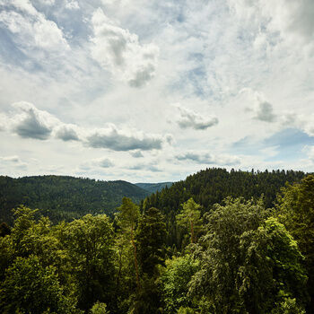 Blick über einen Teil des Schwarzwalds mit Himmel und vielen Wolken