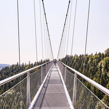 Eine Hängebrücke führt viele Meter durch die Baumwipfel des Schwarzwalds.