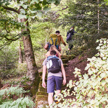 Some guests are on a hiking trail through the Black Forest with hiking backpacks and hiking poles