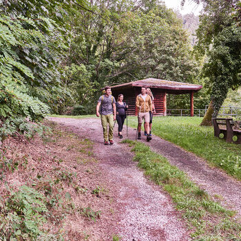 Vier Gäste wandern mit Wanderrucksäcken und Wanderstöcken auf einem Weg durch den Schwarzwald.