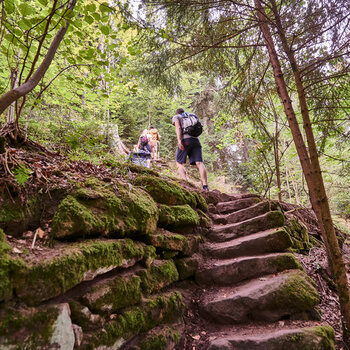 Eine Treppe aus Steinen, auf der zwei Menschen hinaufgehen, führt durch einen Wald.
