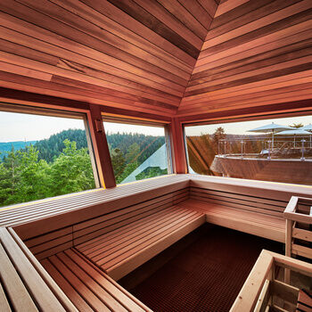 A wooden sauna offers a panoramic view of the Black Forest.