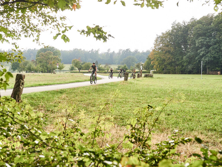 Mehrere Fahrradfahrer sind zusammen auf einer Straße im Schwarzwaldgebiet unterwegs.