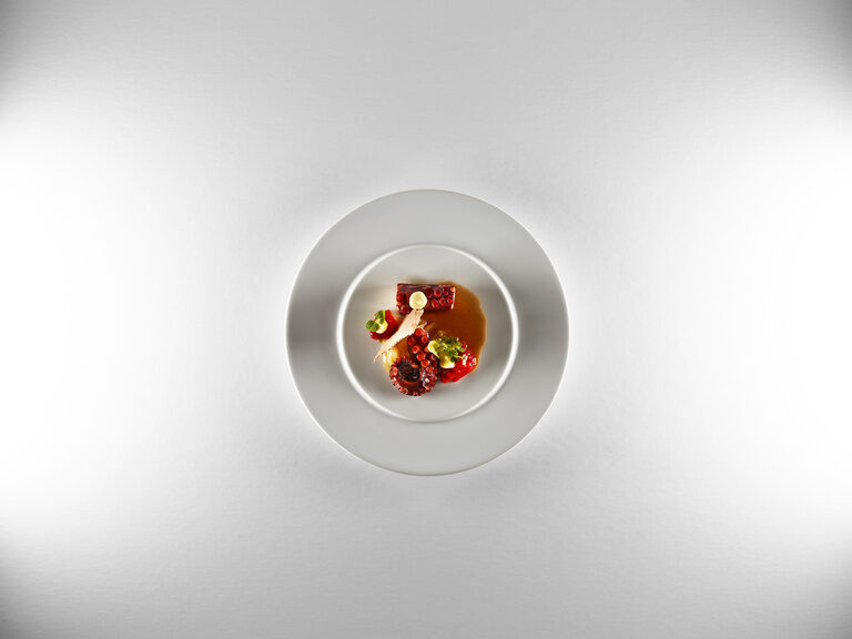 dish in the Berlins Krone gourmet restaurant is on a white background