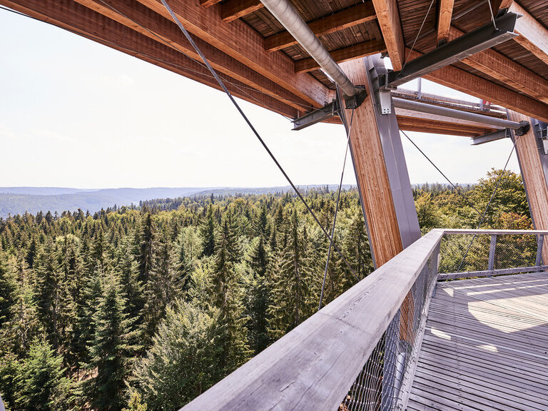 The view over green treetops from a lookout tower in the Black Forest