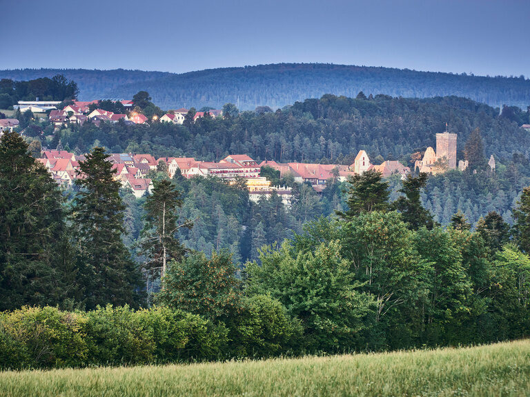 A view over some part of the black forest with the small town Zavelstein in the back
