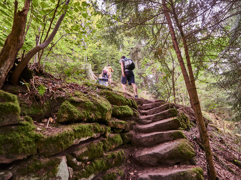 Eine Treppe aus Steinen, auf der zwei Menschen hinaufgehen, führt durch einen Wald.
